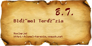 Blümel Terézia névjegykártya