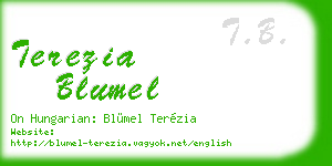 terezia blumel business card